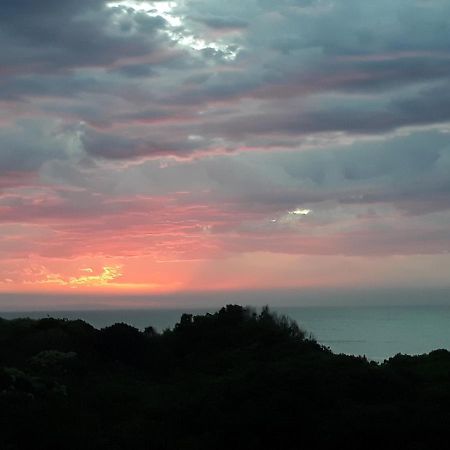 Seabreeze Accommodation Jeffreys Bay Exteriör bild